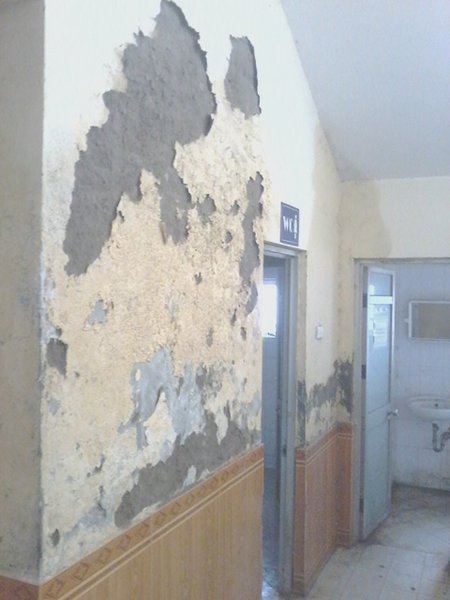 Thông tin từ đường dây nóng